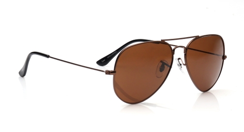 Image 3 of Brown Aviator Sunglasses for Men and Women from Tees By Fastrack Available at Fastrack Eyewear