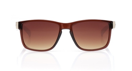 Image 2 of Brown Wayfarer Sunglasses for Men and Women from Tees By Fastrack Available at Fastrack Eyewear