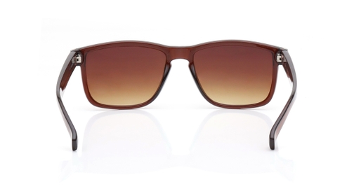 Image 5 of Brown Wayfarer Sunglasses for Men and Women from Tees By Fastrack Available at Fastrack Eyewear