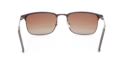 Image 6 of Brown Wayfarer Sunglasses for Men and Women from Tees By Fastrack Available at Fastrack Eyewear